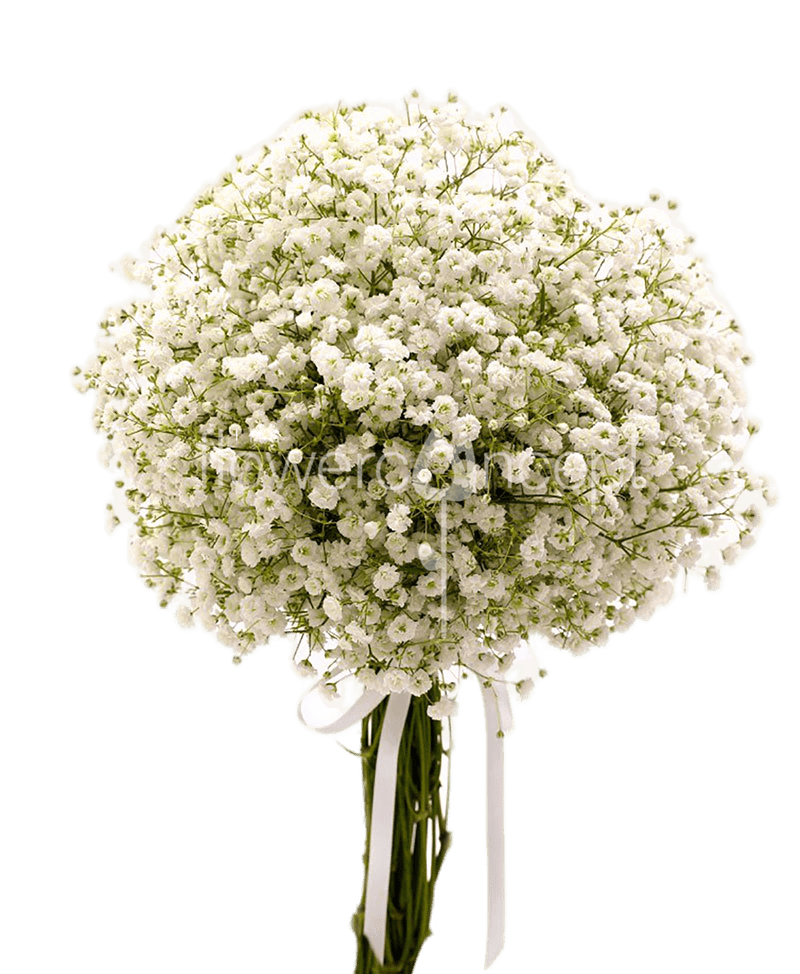 Bridal bouquets 41 transformed